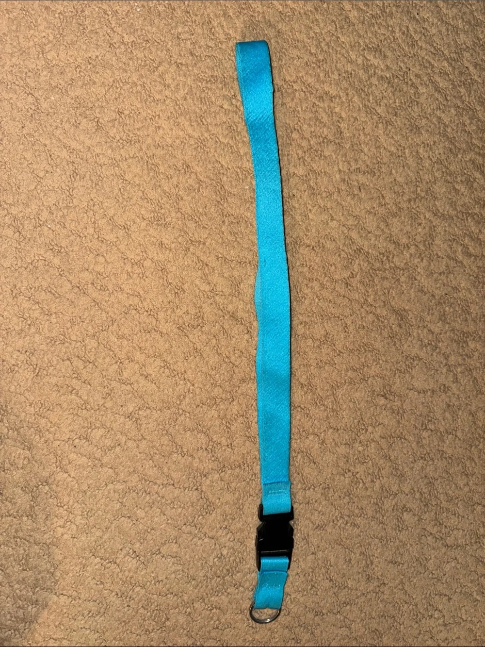 Nike Blue Logo Lanyard with Buckle